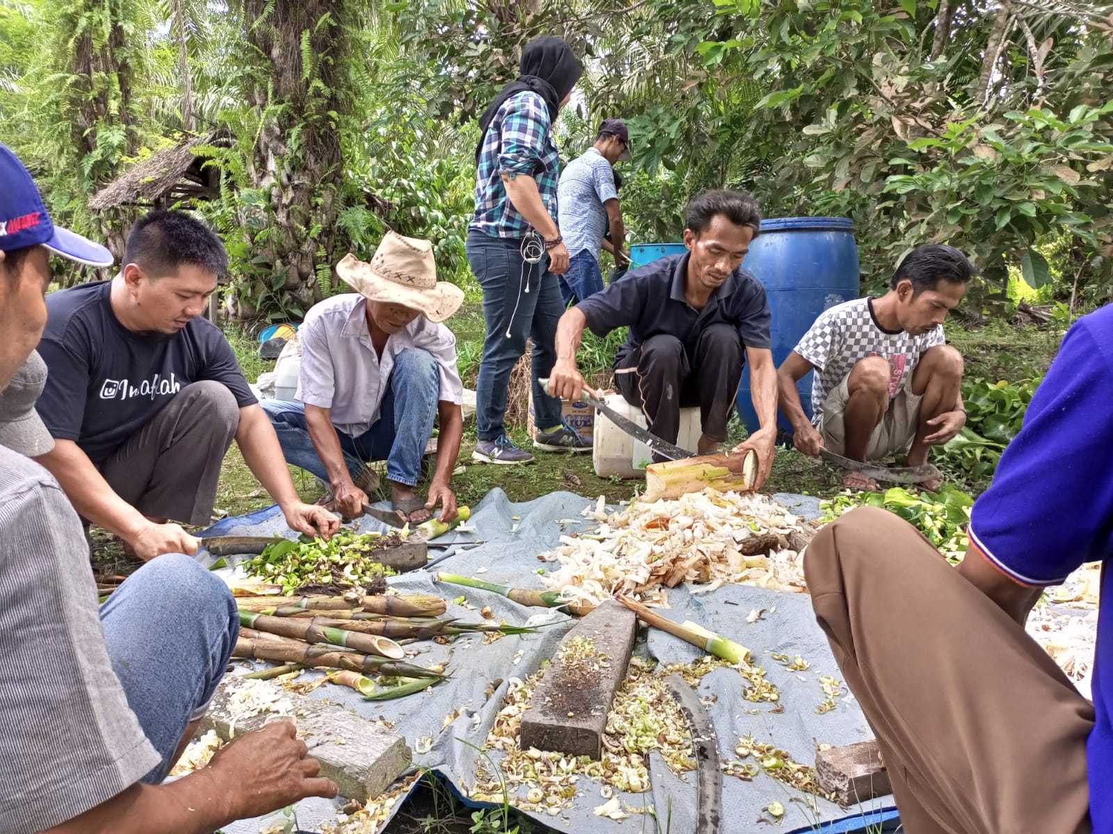LPESM melakukan Pelatihan dan Tingkatkan Pengetahuan Kelompok Tani cara membuat Pupuk Organik dan Pestisida Hayati di Kampung Temusai-Siak